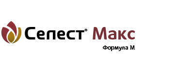 Крузер макс сингента