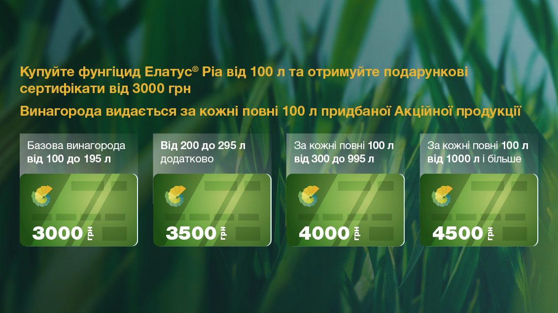 Номінал винагороди Елатус Ріа