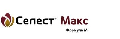 Селест Макс