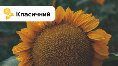 sembri