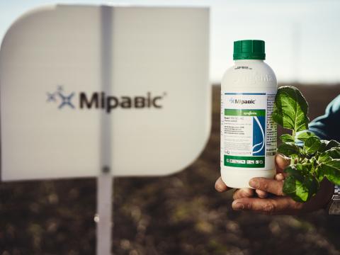 Міравіс для овочів