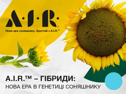 Нова ера в генетиці соняшнику