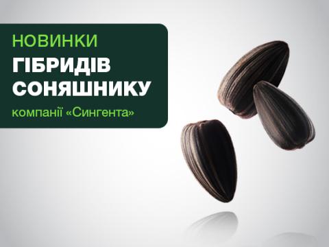 Новинки гібридів соняшнику