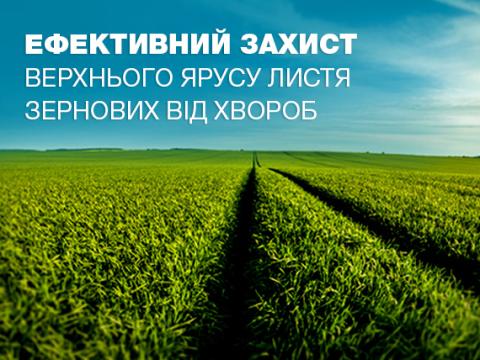 Ефективний захист зернових