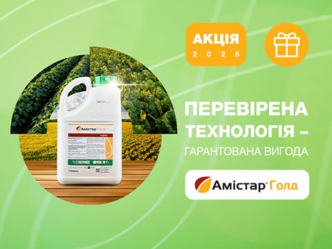 Акція Амістар Голд 2025