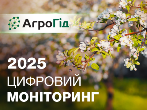 Цифровий моніторинг 2025