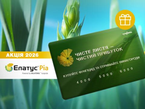 Акція Елатус Ріа 2026