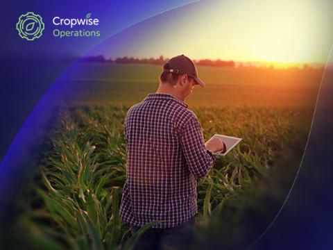 Cropwise Operations — цифрова трансформація агробізнесу 