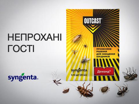 Непрохані гості: як захистити дім від комах-шкідників