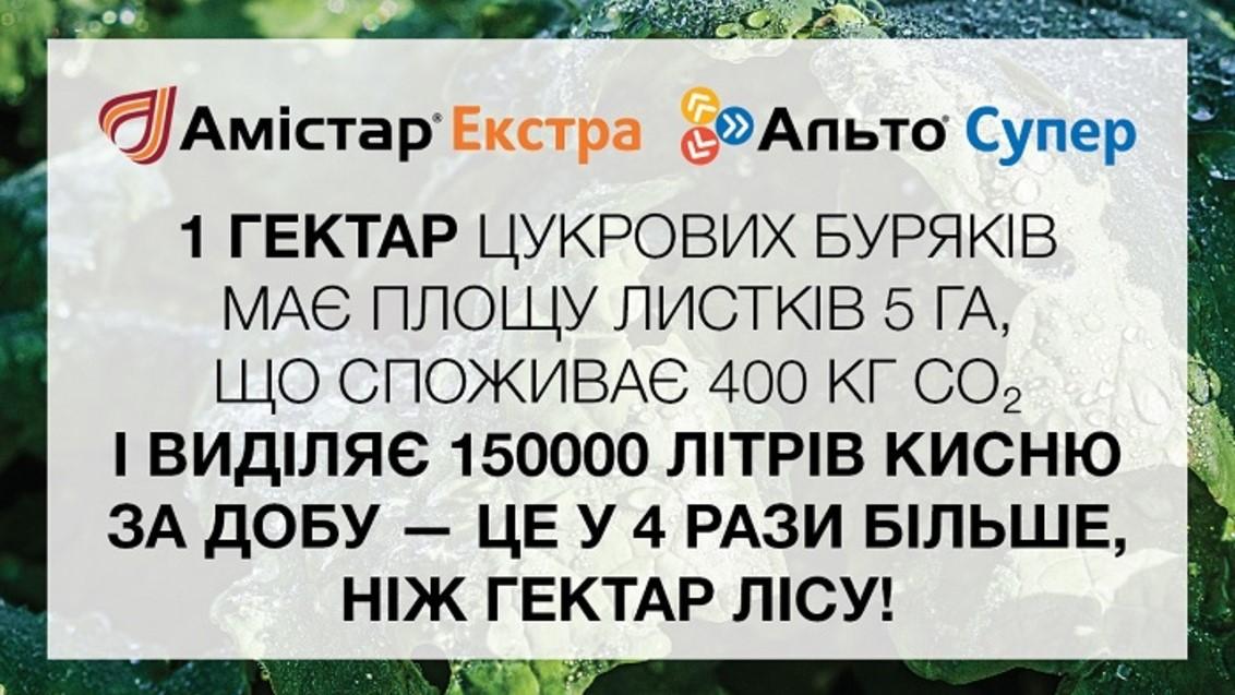 Амістар Екстра та Альто Супер на цукрових буряках