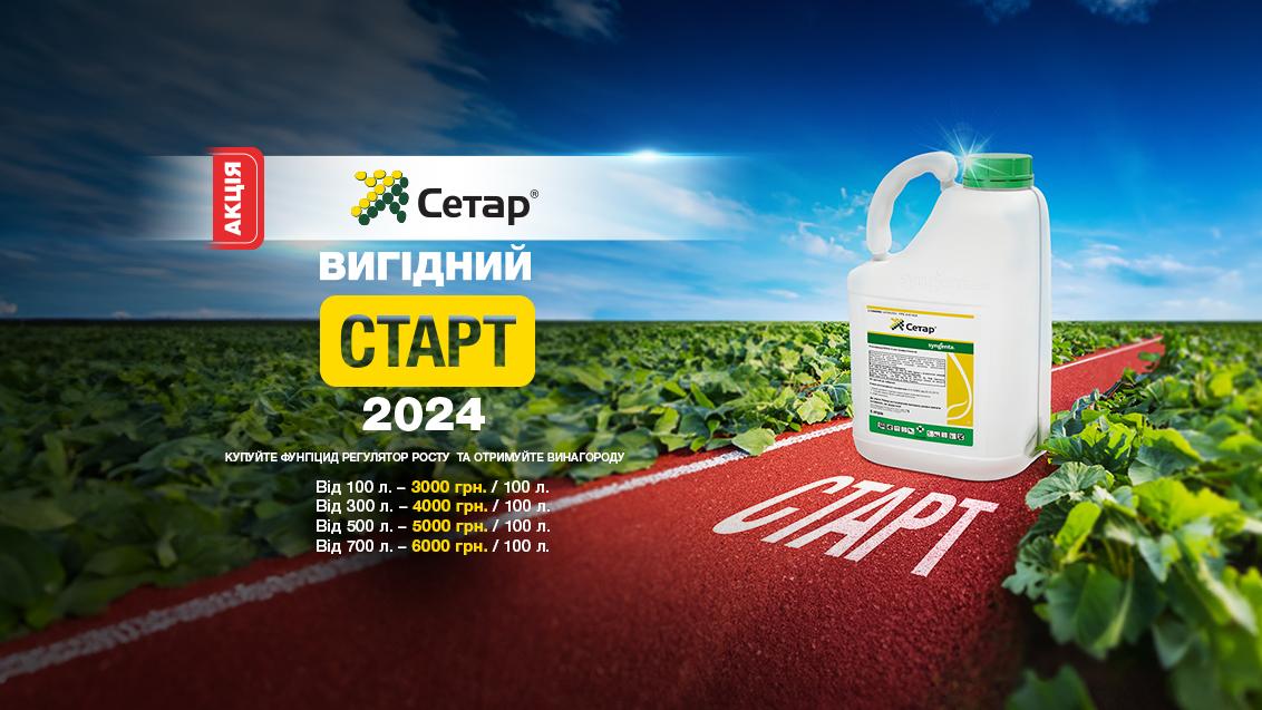 Вигідний Старт Восени, Сетар