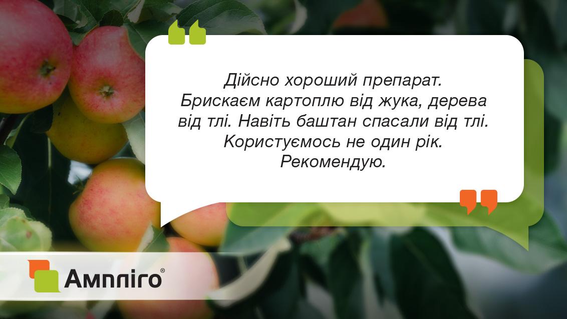 Відгук Ампліго