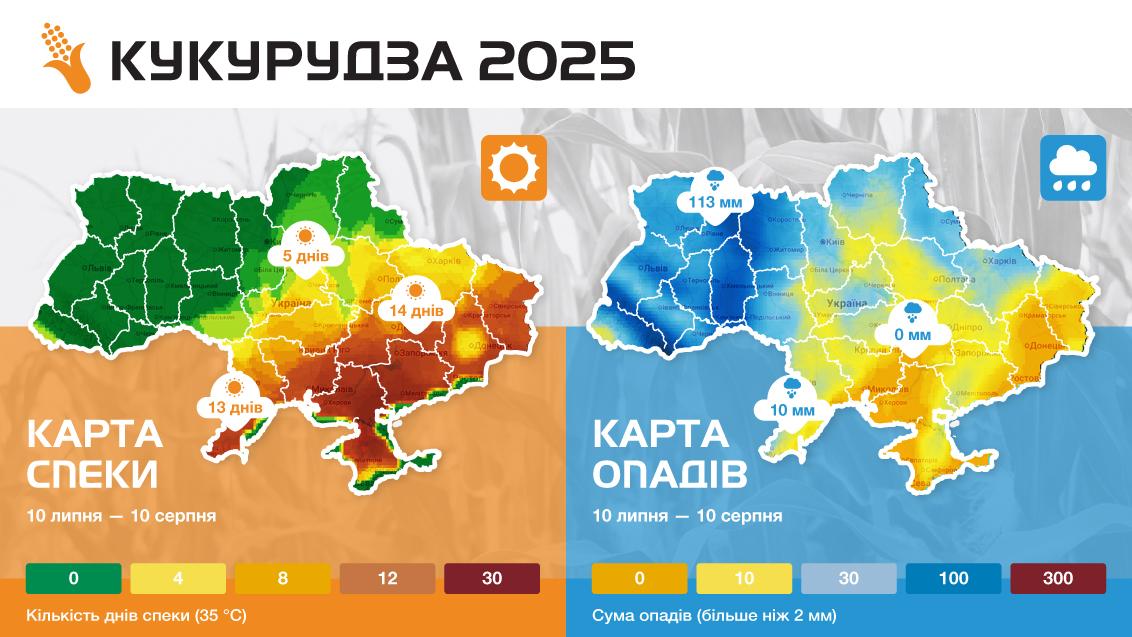 Кукурудза