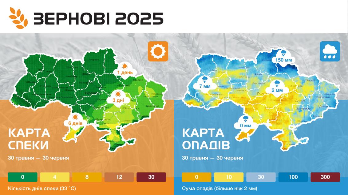Зернові