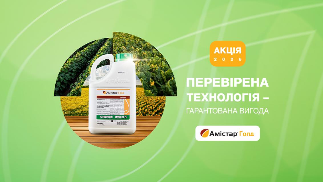Акція Амістар Голд 2026