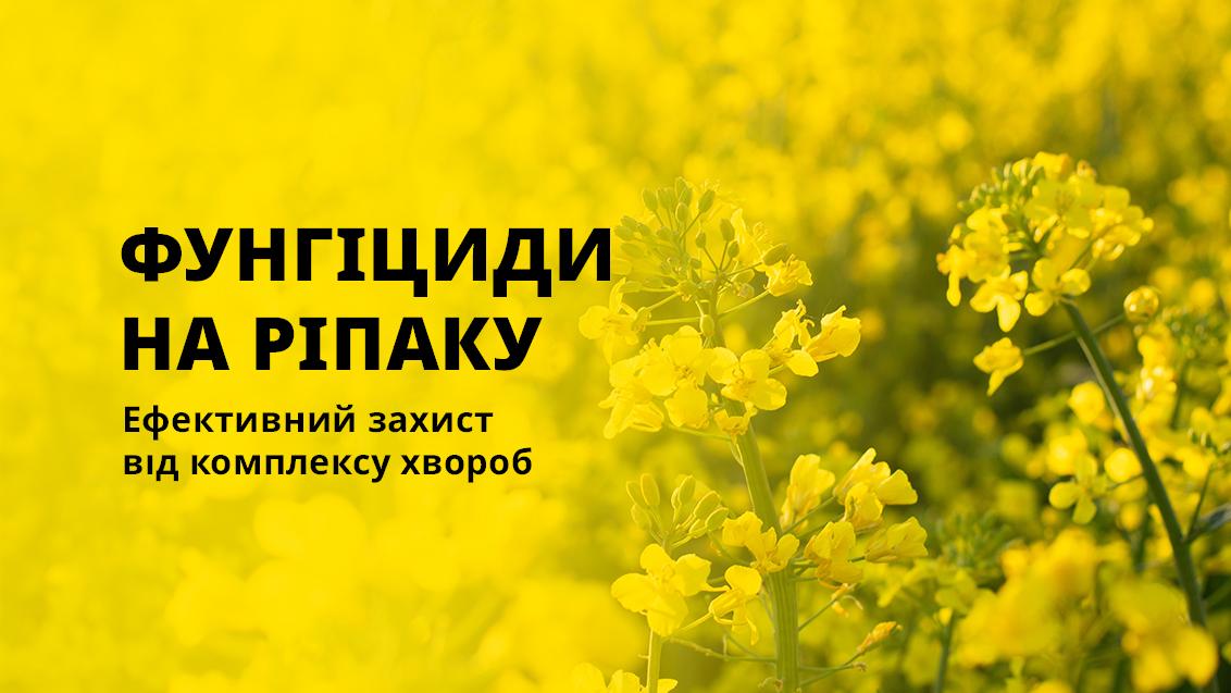 Фунгіциди на ріпаку