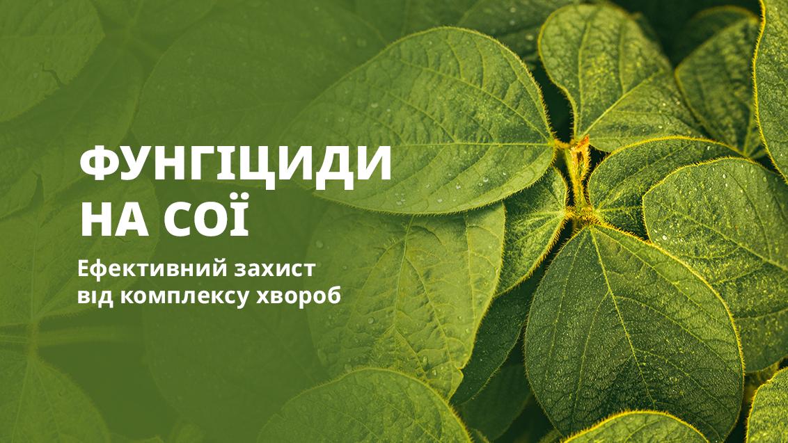 Фунгіциди на сою