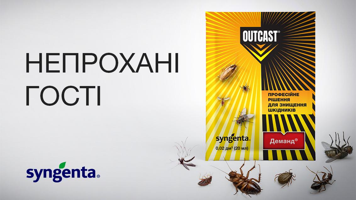 Непрохані гості: як захистити дім від комах-шкідників