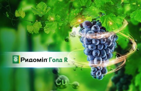 Ридоміл Голд Р