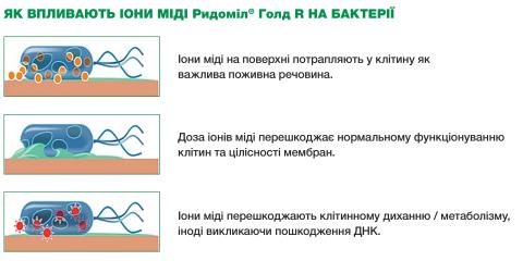 Як впливають іони міді?