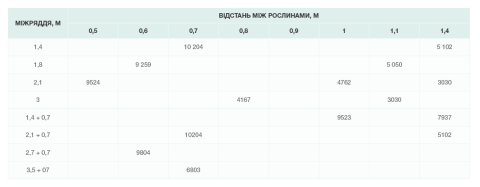 Схема посадки кавунів