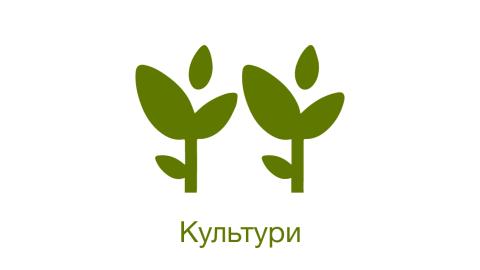 Культури