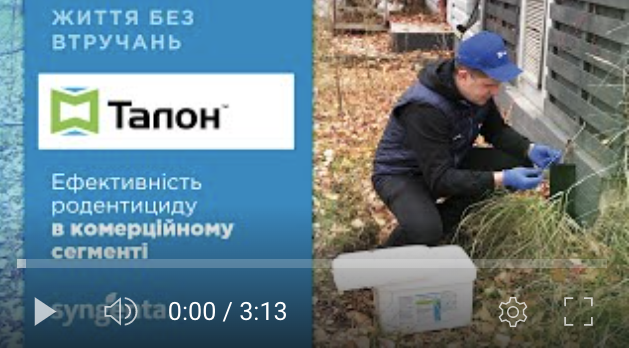 Талон. Комерційний сегмент