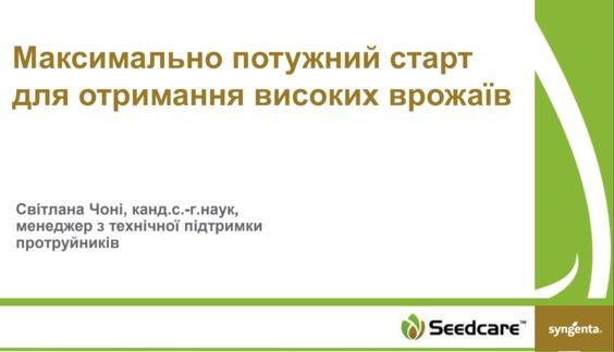 Seedcare Сингента
