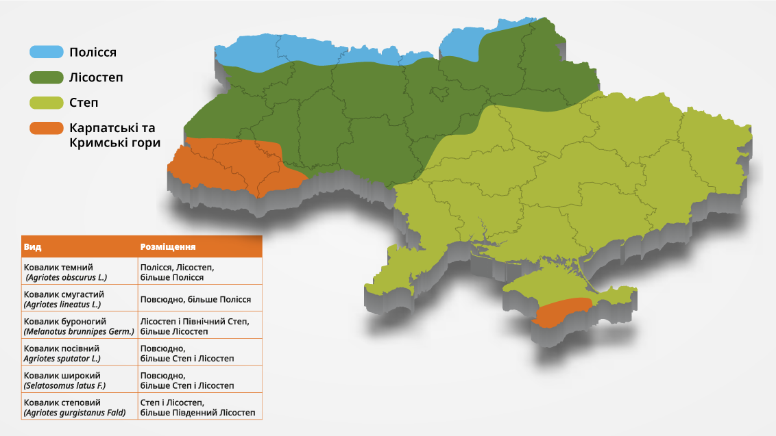 Поширення видів дротяників на території України