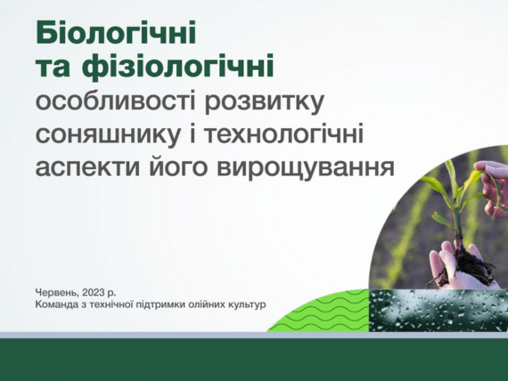 Особливості розвитку соняшника