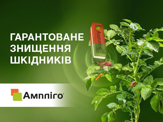 Ампліго Інсектицид