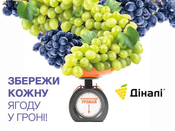 Діналі