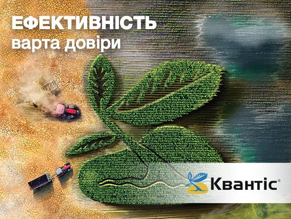 Квантіс