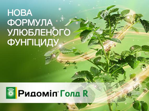 Ридоміл Голд R