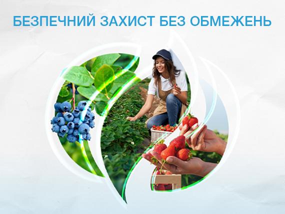 Таегро