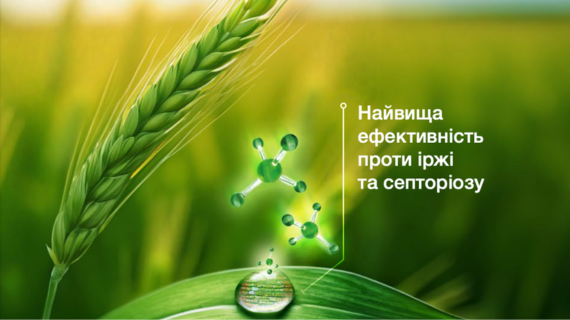 Елатус Ріа