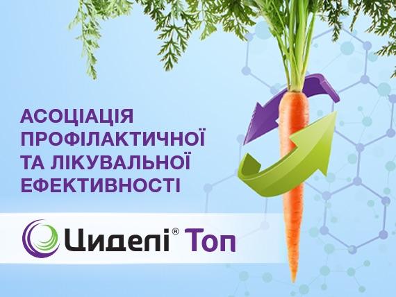 Циделі Топ