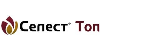 Селест Топ