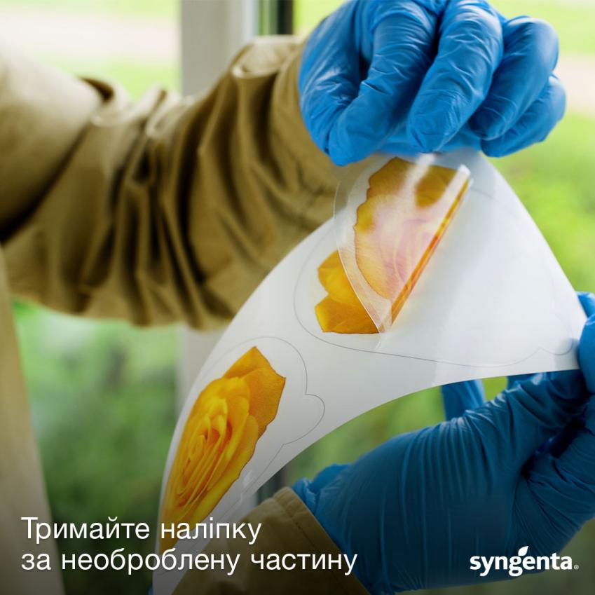 Outcast мухи