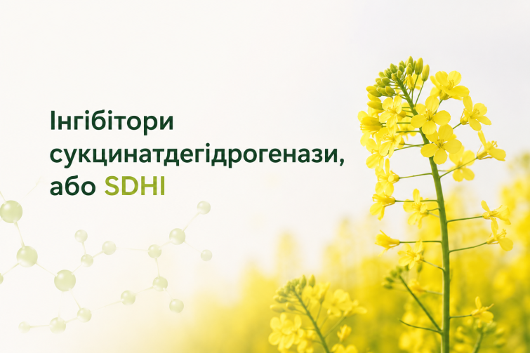 Інгібітори сукцинатдегідрогенази, або SDHI