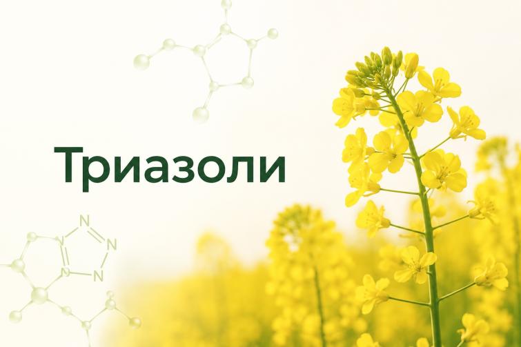 Триазоли