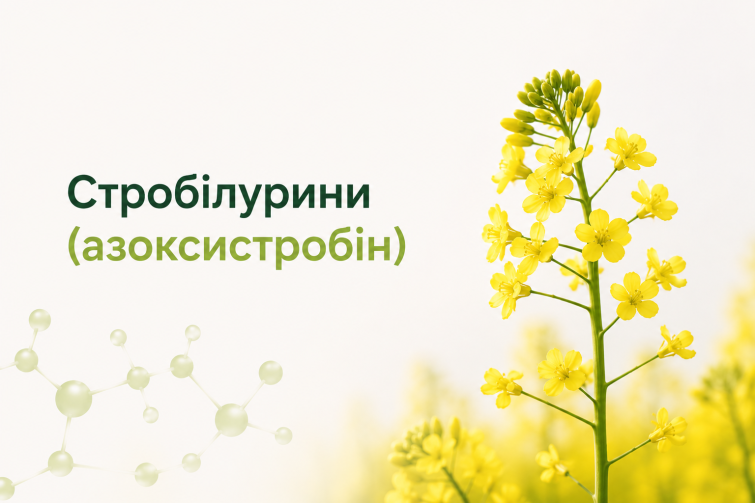Стробілурини (азоксистробін)