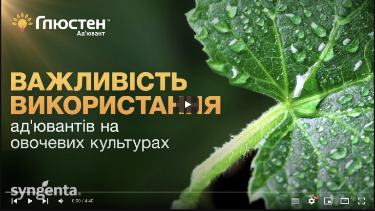 Глюстен на овочах