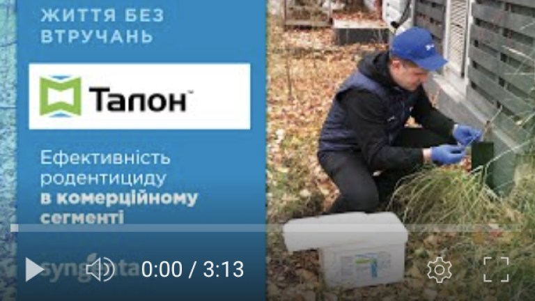 Талон. Комерційний сегмент