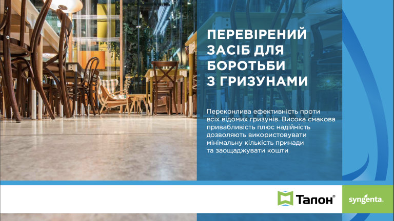 Талон