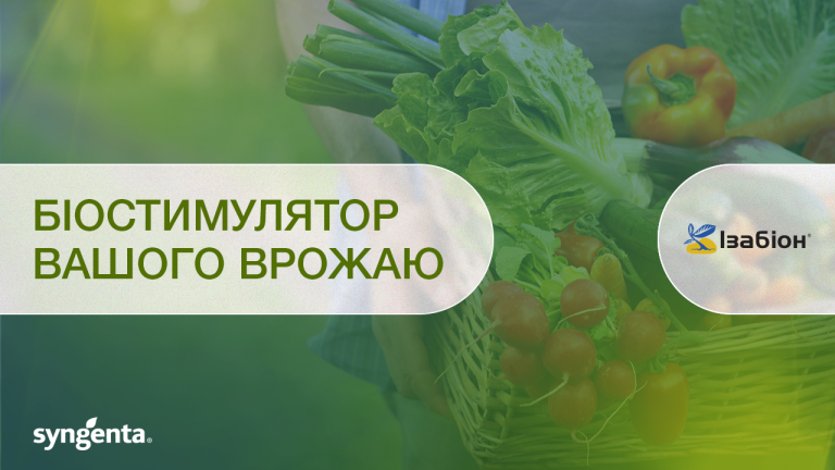 Біостимулятор вашого врожаю