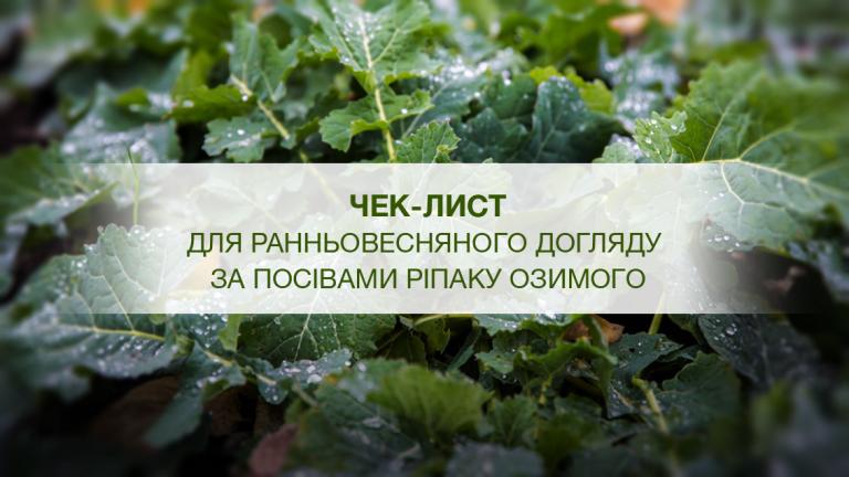 Чек-ліст