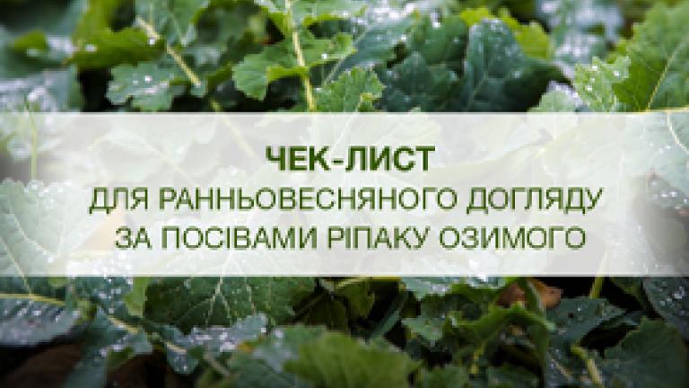 чек-лист