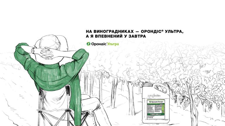 Орондіс Ультра: виноград
