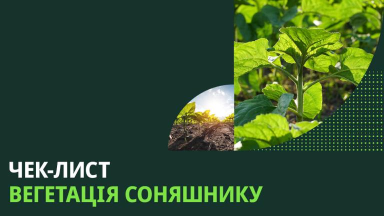 Чек-лист вегетація соняшнику